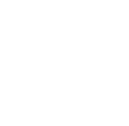 The Bali Expert