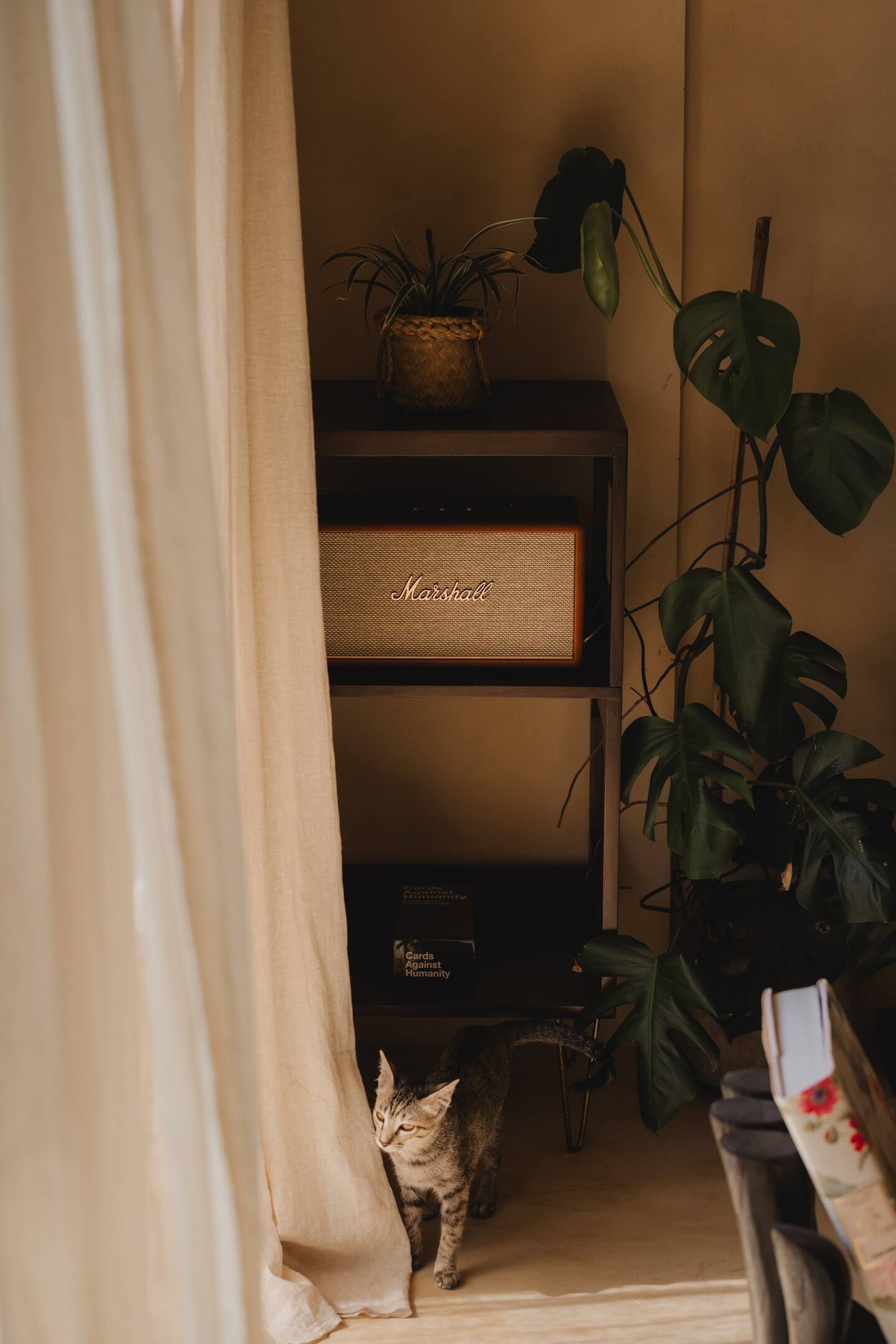 84d5b8da-ce14-4ee4-8ade-abc6c8933ef4