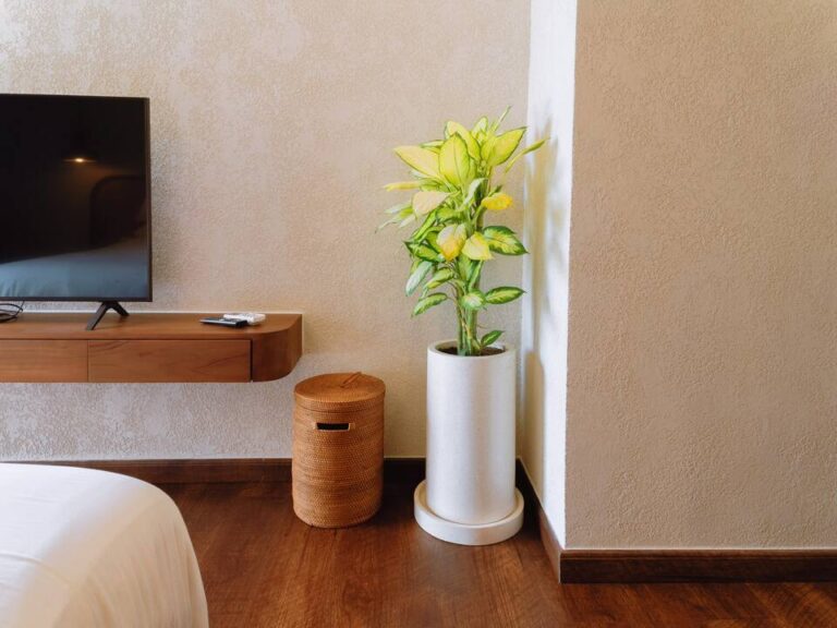 5d575356-d64c-43fb-a2eb-61d26ed658ec