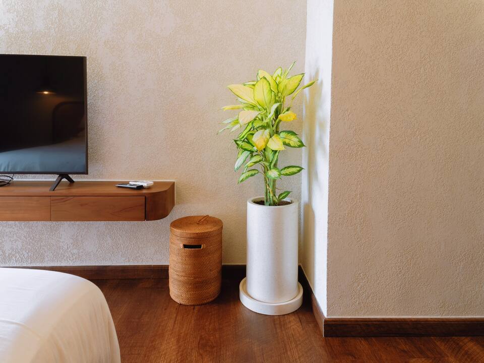 5d575356-d64c-43fb-a2eb-61d26ed658ec