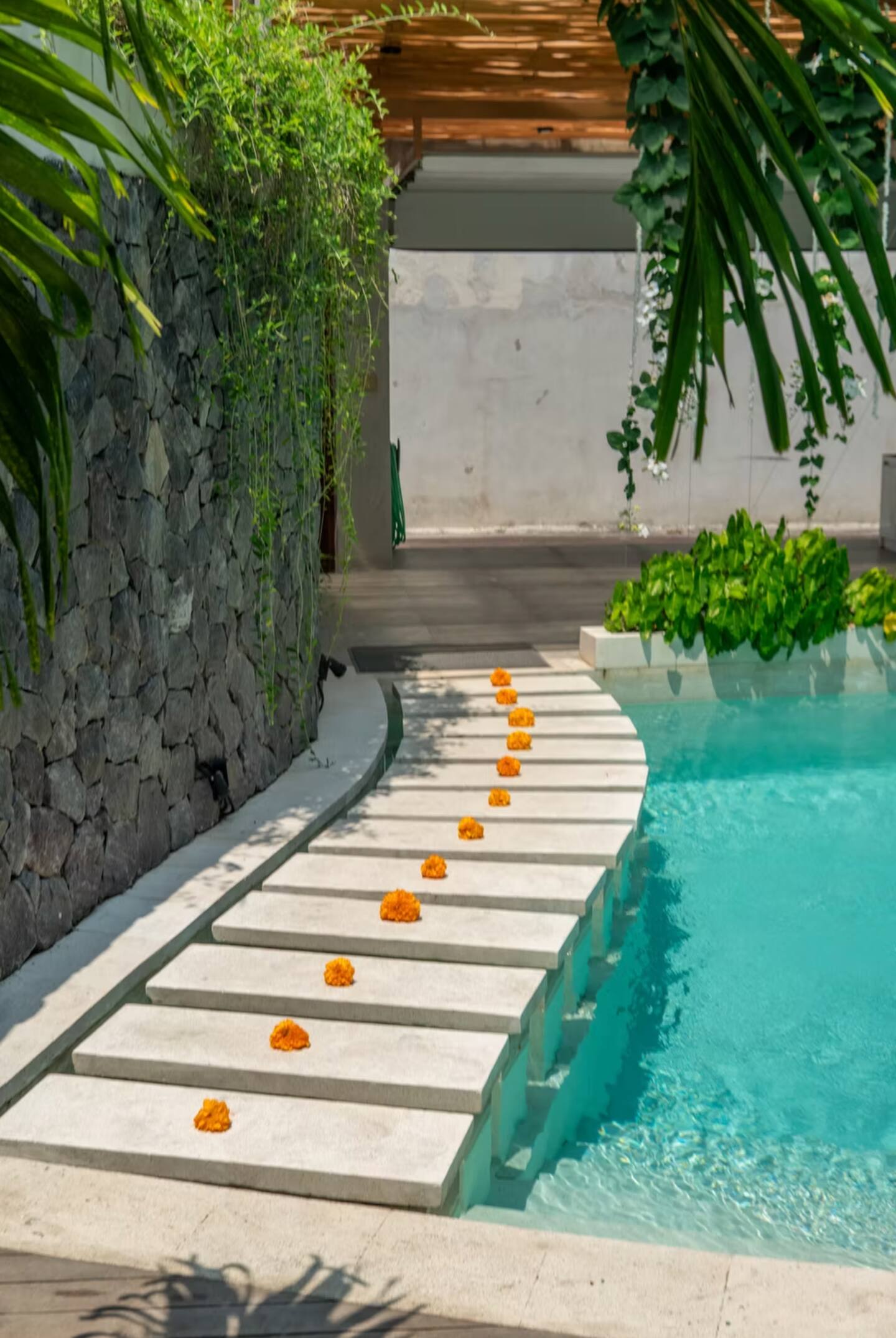 7e4077d3-57c5-4284-a706-f16b25eaba82