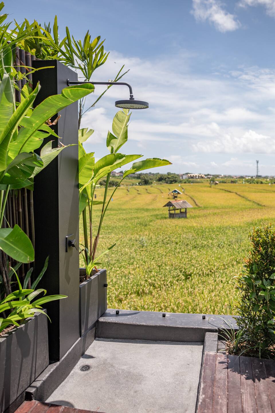 f4b62d36-1302-4b51-a3fb-1ed49fe4599b